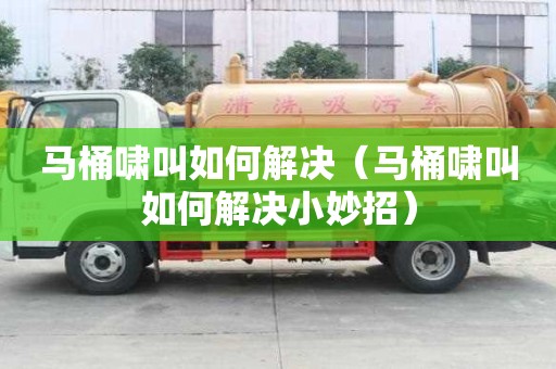 馬桶嘯叫如何解決（馬桶嘯叫如何解決小妙招）