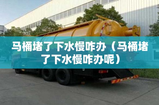 馬桶堵了下水慢咋辦（馬桶堵了下水慢咋辦呢）