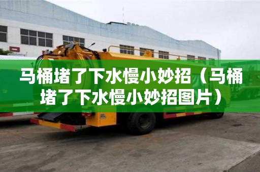 馬桶堵了下水慢小妙招(馬桶堵了下水慢小妙招圖片) 馬桶堵了下水慢小妙招(馬桶堵了下水慢小妙招圖片)