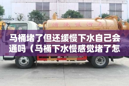 馬桶堵了但還緩慢下水自己會通嗎（馬桶下水慢感覺堵了怎么辦）