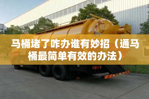 馬桶堵了咋辦誰有妙招（通馬桶最簡單有效的辦法）