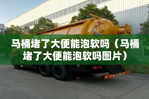 馬桶堵了大便能泡軟嗎（馬桶堵了大便能泡軟嗎圖片）