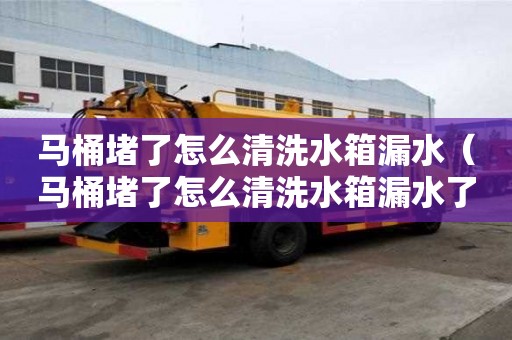 馬桶堵了怎么清洗水箱漏水（馬桶堵了怎么清洗水箱漏水了）