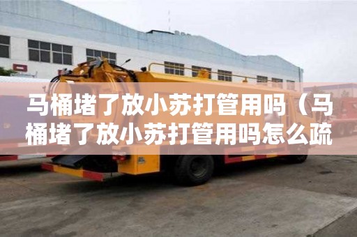馬桶堵了放小蘇打管用嗎（馬桶堵了放小蘇打管用嗎怎么疏通）