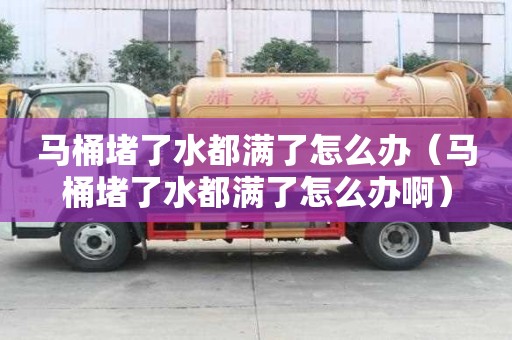 馬桶堵了水都滿了怎么辦（馬桶堵了水都滿了怎么辦?。? title=