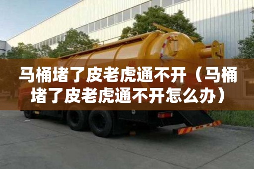馬桶堵了皮老虎通不開（馬桶堵了皮老虎通不開怎么辦）