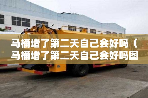 馬桶堵了第二天自己會好嗎（馬桶堵了第二天自己會好嗎圖片）