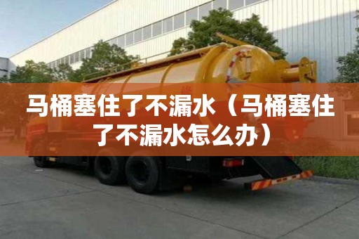 馬桶塞住了不漏水(馬桶塞住了不漏水怎么辦) 馬桶塞住了不漏水(馬桶塞住了不漏水怎么辦)