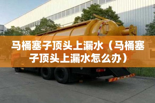 馬桶塞子頂頭上漏水(馬桶塞子頂頭上漏水怎么辦) 馬桶塞子頂頭上漏水(馬桶塞子頂頭上漏水怎么辦)