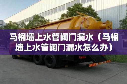 馬桶墻上水管閥門漏水（馬桶墻上水管閥門漏水怎么辦）