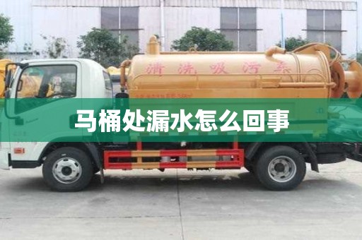 馬桶處漏水怎么回事