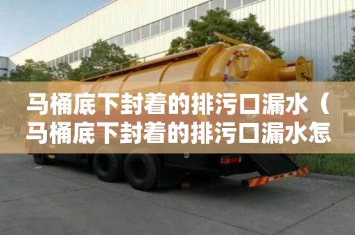 馬桶底下封著的排污口漏水（馬桶底下封著的排污口漏水怎么辦）