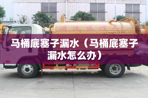 馬桶底塞子漏水（馬桶底塞子漏水怎么辦）
