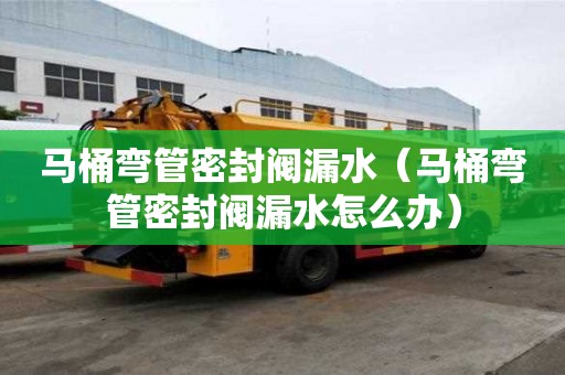馬桶彎管密封閥漏水（馬桶彎管密封閥漏水怎么辦）