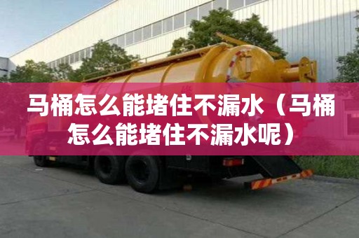 馬桶怎么能堵住不漏水（馬桶怎么能堵住不漏水呢）