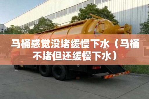 馬桶感覺沒堵緩慢下水（馬桶不堵但還緩慢下水）