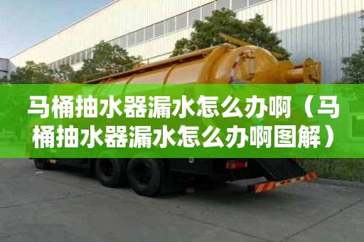 馬桶抽水器漏水怎么辦啊（馬桶抽水器漏水怎么辦啊圖解）