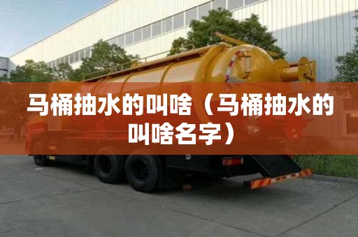 馬桶抽水的叫啥（馬桶抽水的叫啥名字）