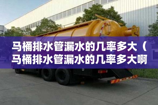 馬桶排水管漏水的幾率多大（馬桶排水管漏水的幾率多大啊）