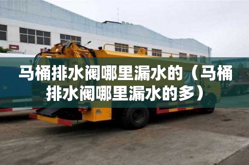 馬桶排水閥哪里漏水的（馬桶排水閥哪里漏水的多）