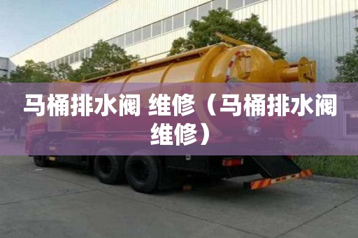 馬桶排水閥 維修（馬桶排水閥維修）