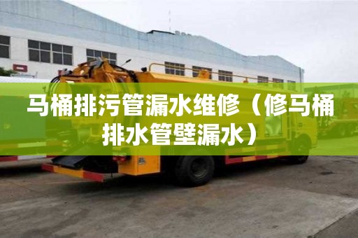 馬桶排污管漏水維修(修馬桶排水管壁漏水) 馬桶排污管漏水維修(修馬桶排水管壁漏水)