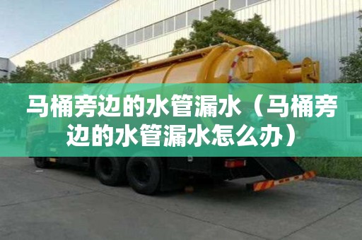 馬桶旁邊的水管漏水(馬桶旁邊的水管漏水怎么辦) 馬桶旁邊的水管漏水(馬桶旁邊的水管漏水怎么辦)