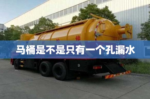 馬桶是不是只有一個孔漏水