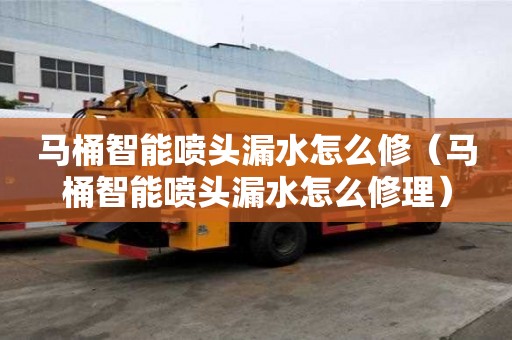 馬桶智能噴頭漏水怎么修（馬桶智能噴頭漏水怎么修理）