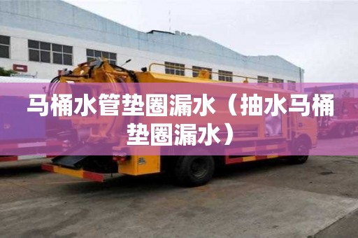馬桶水管墊圈漏水(抽水馬桶墊圈漏水) 馬桶水管墊圈漏水(抽水馬桶墊圈漏水)