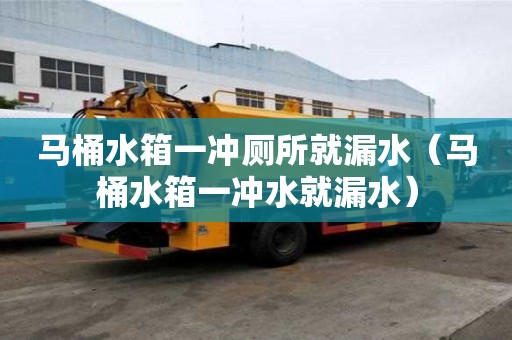 馬桶水箱一沖廁所就漏水（馬桶水箱一沖水就漏水）
