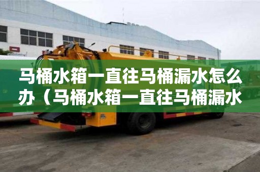 馬桶水箱一直往馬桶漏水怎么辦（馬桶水箱一直往馬桶漏水怎么辦排骨燉豆角怎么燉）