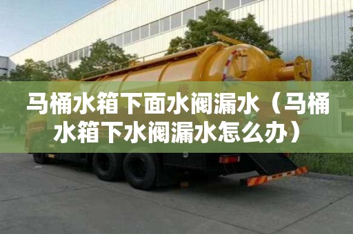 馬桶水箱下面水閥漏水（馬桶水箱下水閥漏水怎么辦）