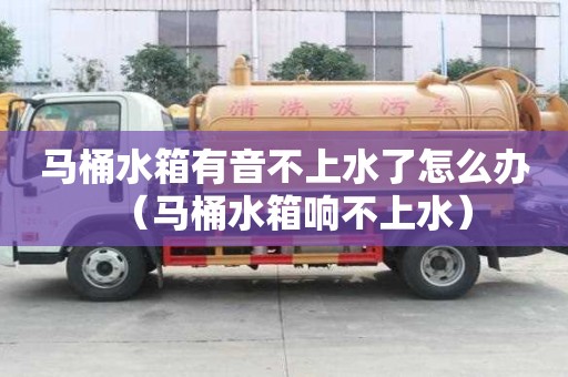 馬桶水箱有音不上水了怎么辦（馬桶水箱響不上水）