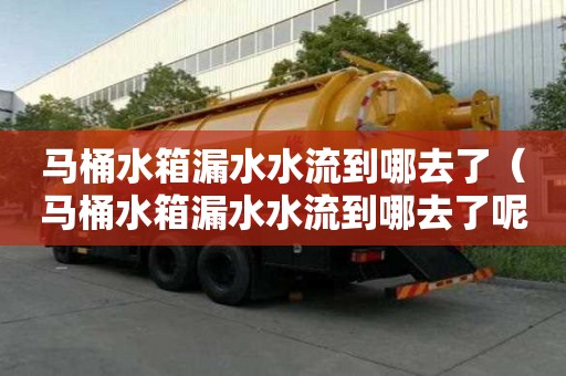 馬桶水箱漏水水流到哪去了（馬桶水箱漏水水流到哪去了呢）