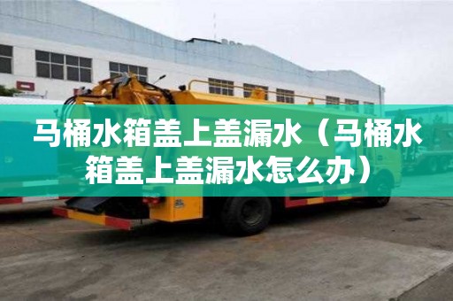 馬桶水箱蓋上蓋漏水（馬桶水箱蓋上蓋漏水怎么辦）