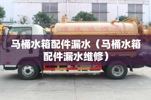 馬桶水箱配件漏水（馬桶水箱配件漏水維修）