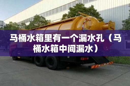 馬桶水箱里有一個漏水孔（馬桶水箱中間漏水）