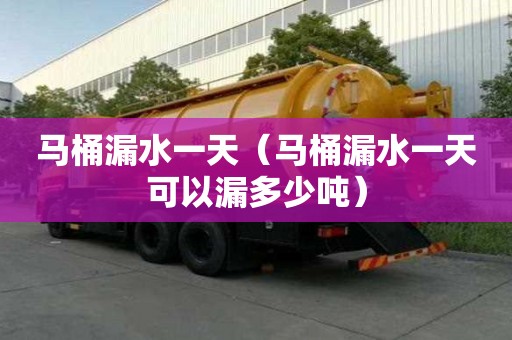 馬桶漏水一天（馬桶漏水一天可以漏多少噸）