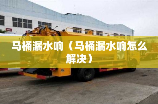 馬桶漏水響（馬桶漏水響怎么解決）