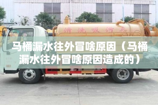 馬桶漏水往外冒啥原因(馬桶漏水往外冒啥原因造成的) 馬桶漏水往外冒啥原因(馬桶漏水往外冒啥原因造成的)
