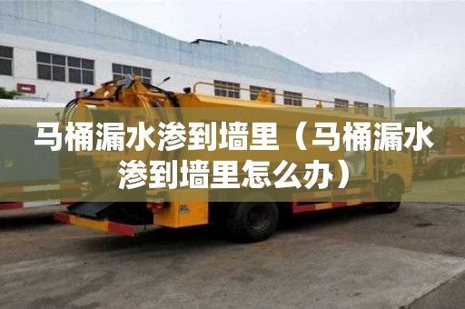 馬桶漏水滲到墻里（馬桶漏水滲到墻里怎么辦）