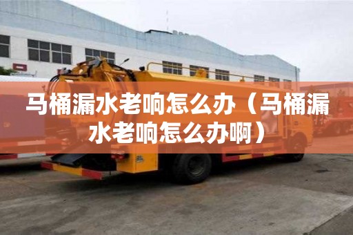 馬桶漏水老響怎么辦（馬桶漏水老響怎么辦啊）