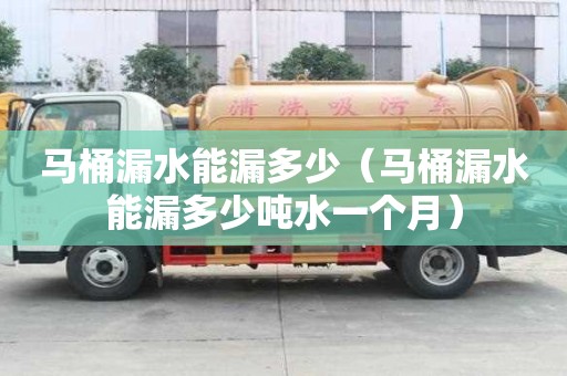馬桶漏水能漏多少（馬桶漏水能漏多少噸水一個月）
