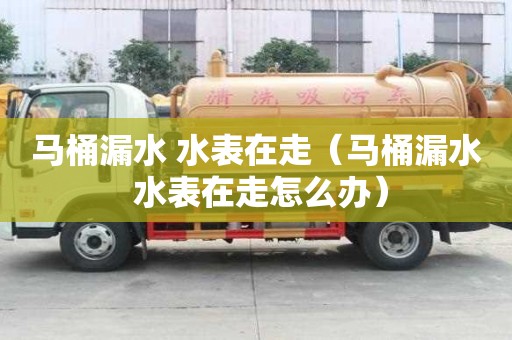 馬桶漏水 水表在走（馬桶漏水 水表在走怎么辦）
