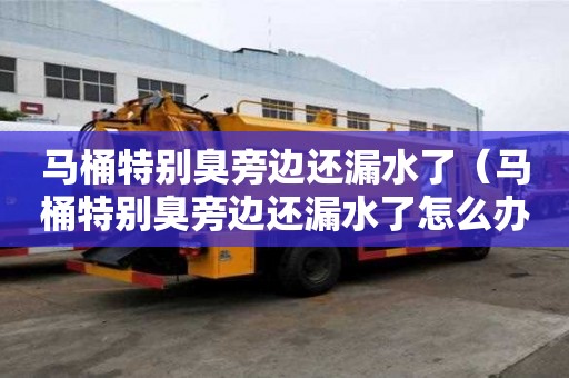 馬桶特別臭旁邊還漏水了（馬桶特別臭旁邊還漏水了怎么辦）