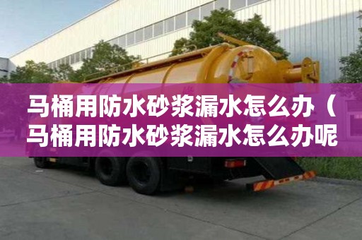 馬桶用防水砂漿漏水怎么辦（馬桶用防水砂漿漏水怎么辦呢）