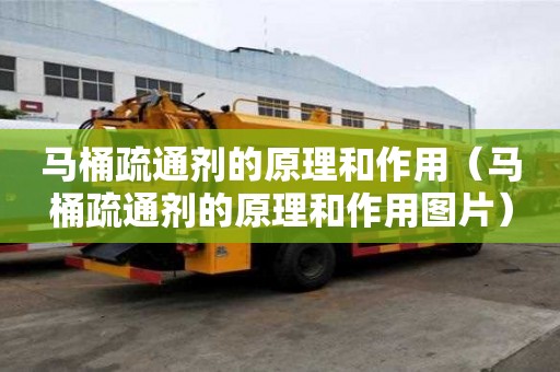 馬桶疏通劑的原理和作用（馬桶疏通劑的原理和作用圖片）