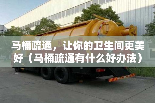馬桶疏通，讓你的衛(wèi)生間更美好（馬桶疏通有什么好辦法）