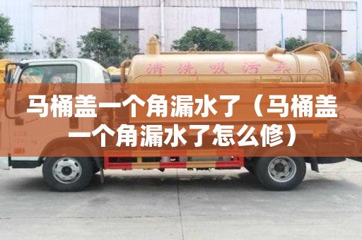 馬桶蓋一個角漏水了（馬桶蓋一個角漏水了怎么修）